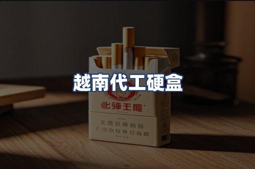 越南代工硬盒